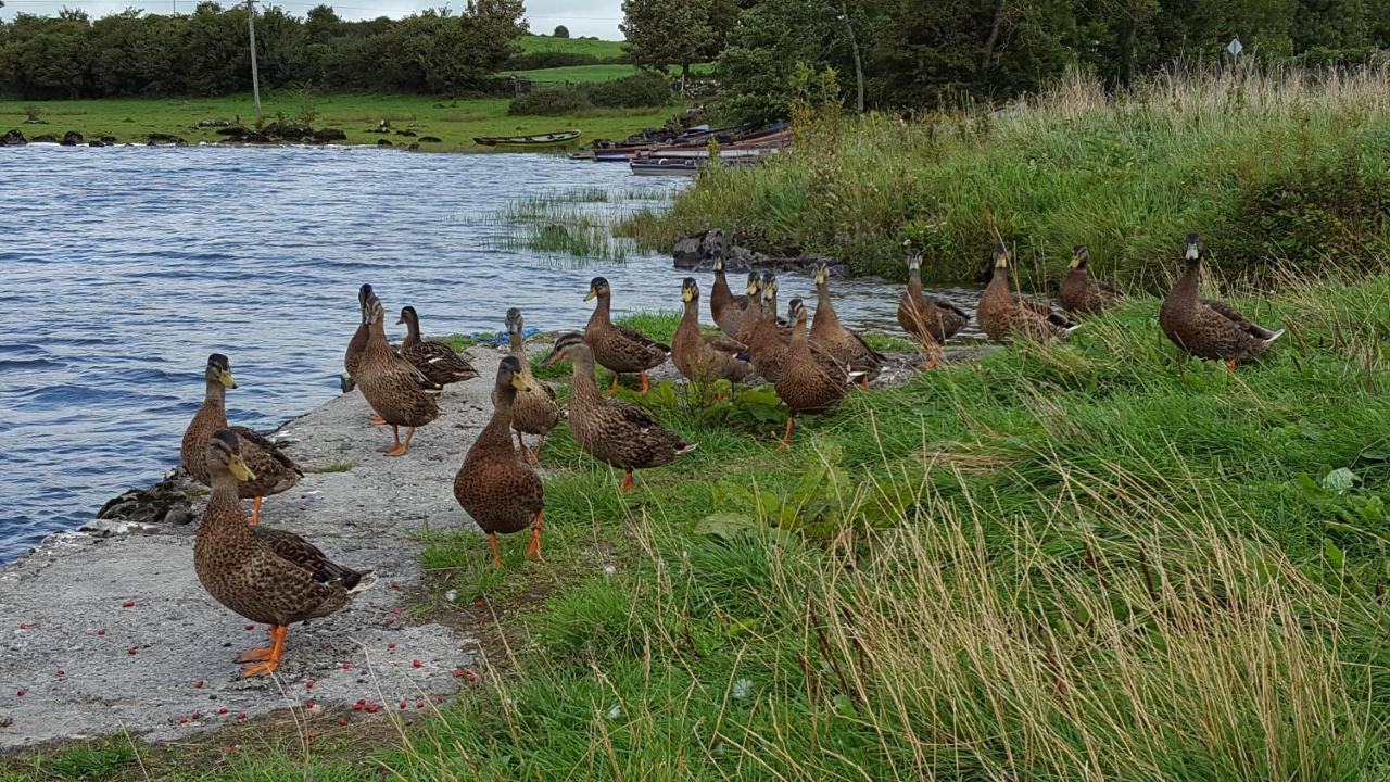 Leroy'S Lodge Headford Luaran gambar